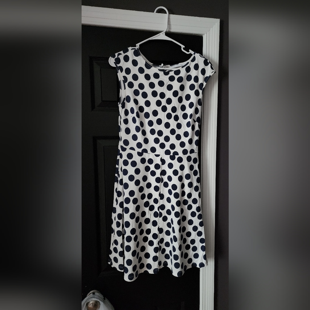 New York & Company Navy and White Midi Dress for Cocktail